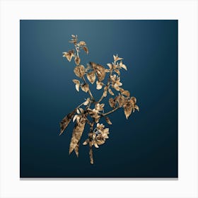 Gold Botanical Judas Tree on Dusk Blue n.0440 Canvas Print
