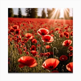 Poppy Field Canvas Print