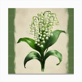 Rustic May Birth Flower Lily Of The Valley Black Green Canvas Print