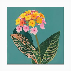 Lantana Square Flower Illustration Canvas Print