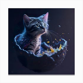 Cat Galaxy (31) Canvas Print