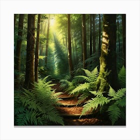 Ferns In The Forest Canvas Print