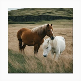 Two Horses In The Grass Canvas Print