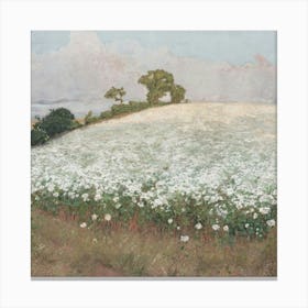 Field Of Daisies 2 Canvas Print