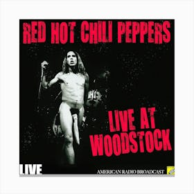 Rhcp Album Cover 4 Canvas Print