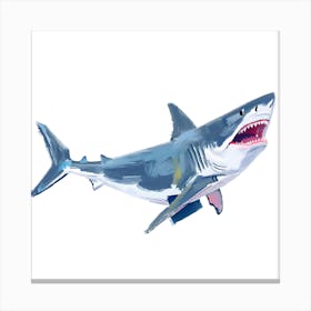Great White Shark 03 Canvas Print