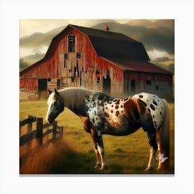 Appaloosa By The Barn Copy Canvas Print