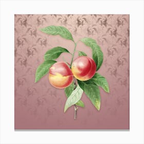 Vintage Peach Botanical on Dusty Pink Pattern Canvas Print