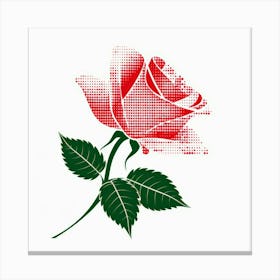 Red Rose On White Background Canvas Print