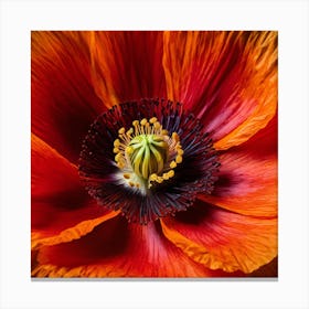 Ethereal poppy flower 8 Canvas Print