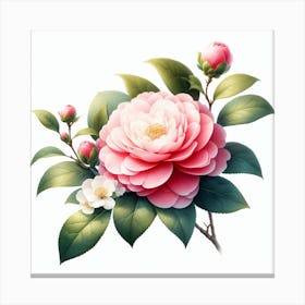 Flower of Camellia 3 Canvas Print