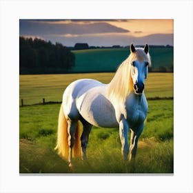 White Horse In A Field 1 Canvas Print