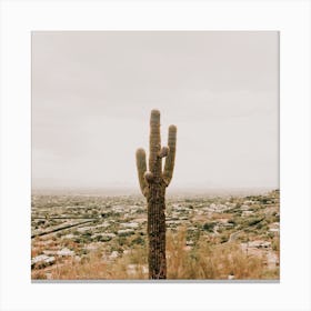 Cactus Over Phoenix Square Canvas Print