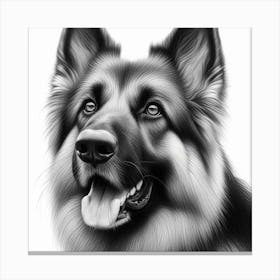 Pencil Drawing Of A German Shepherd Dog 1 Canvas Print