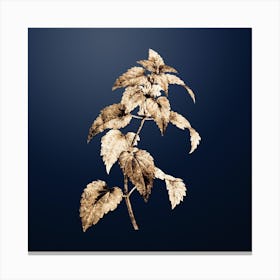 Gold Botanical White Dead Nettle Plant on Midnight Navy n.3743 Canvas Print