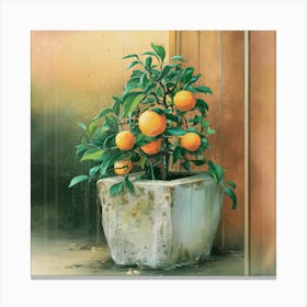 Oranges In A Pot 15 Canvas Print