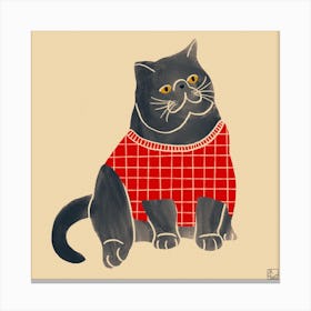 Cat With Red Sweater Square Canvas Print