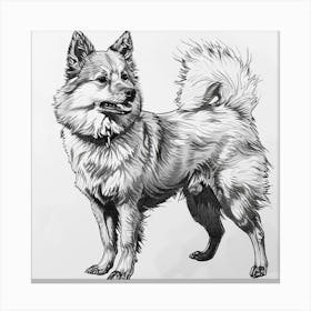  Finnish Spitz Dog Line Sketch 2 Canvas Print