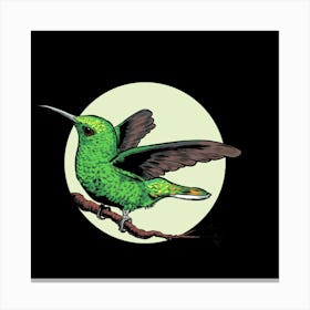 Hummingbird Canvas Print