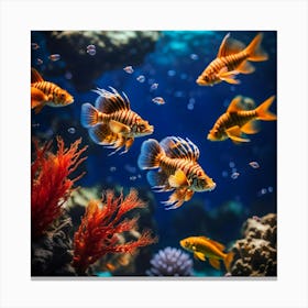 Fishes In The Aquarium Canvas Print