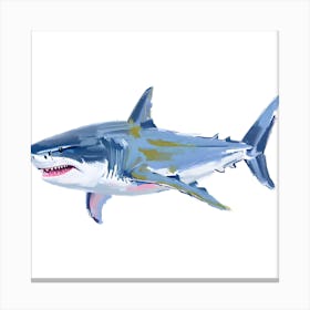 Great White Shark 07 Canvas Print