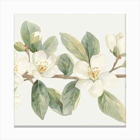 White Blossoms Canvas Print