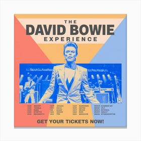 DAVID BOWIE 1 Canvas Print