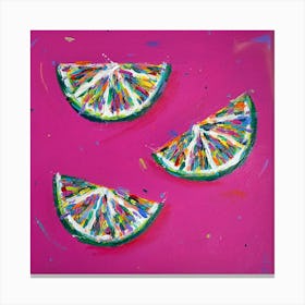 Lime Segments 1 Canvas Print