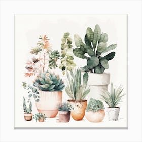 Succulent Garden Canvas Print