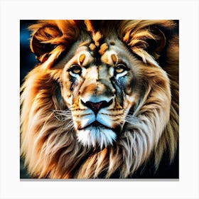 Lion Portrait 16 Canvas Print