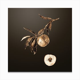 Gold Botanical Peach on Chocolate Brown n.3929 Canvas Print