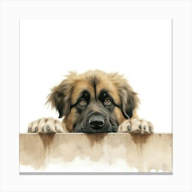 Belgian Shepherd Dog 1 Canvas Print