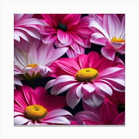 Pink Daisies 1 Canvas Print