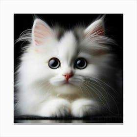 White Cat With Big Eyes Canvas Print