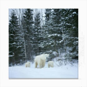 Firefly Bear, Mama, Cubs, Snow, Winter, Beautiful, Wildlife, Family, Nature, Forest, Snowy, Serene, (9) Canvas Print