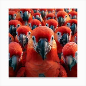 Red Parrots Canvas Print