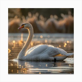 Swan In The Water Canvas Print