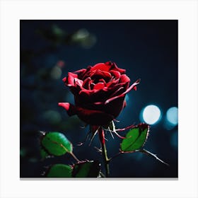 Red Rose In The Dark Canvas Print