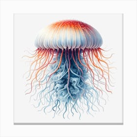 Jellyfish 7 Canvas Print