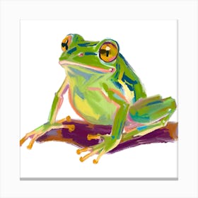 Green Tree Frog 01 Canvas Print