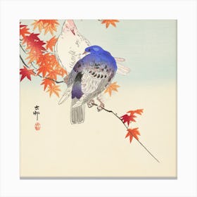 Two Pigeons On Autumn Branch, Ohara Koson Canvas Print