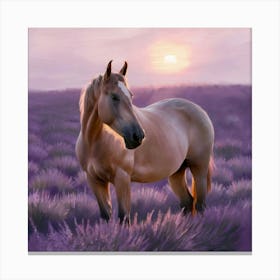 Horse In Lavender Field 6 Canvas Print