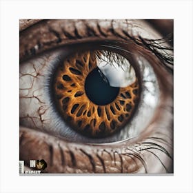 Eye Of A Man Canvas Print