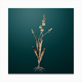 Gold Botanical Ixia Scillaris on Dark Teal n.1825 Canvas Print