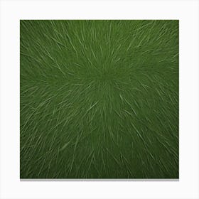 Grass Background 27 Canvas Print