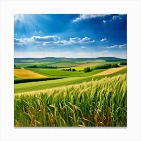 Grass German Cultivate Commercial Ecology Plant Sun Day Cultivated Scene Green Flying Pa (7) Canvas Print