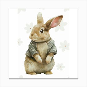 Aesthetic buny Canvas Print