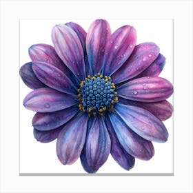 Purple Daisy 4 Canvas Print