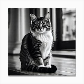 Cat Sitting In Front Of Window Canvas Print