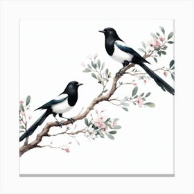 Magpies 1 Canvas Print